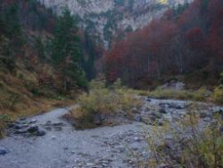 2013-10-26_Schildenstein (068).JPG